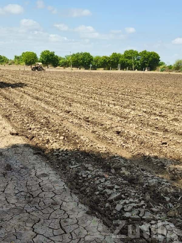 Bhánvad Road Fertile Agriculture Plot Bhánvad Road Fertile Agriculture Plot