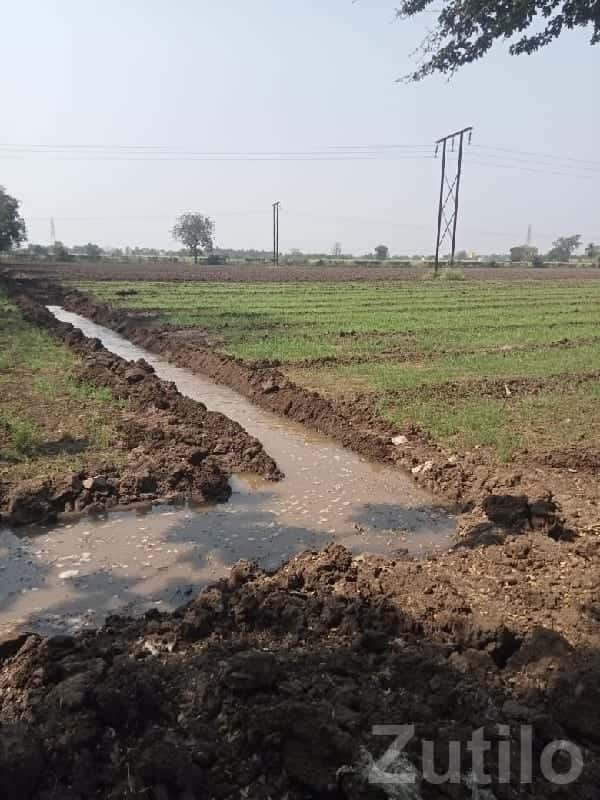 Irrigated Farmland Plot in Kutiyana Irrigated Farmland Plot in Kutiyana