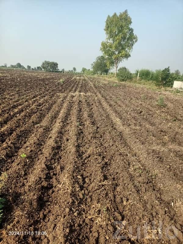 Fertile Agricultural Land in Rajkot Fertile Agricultural Land in Rajkot