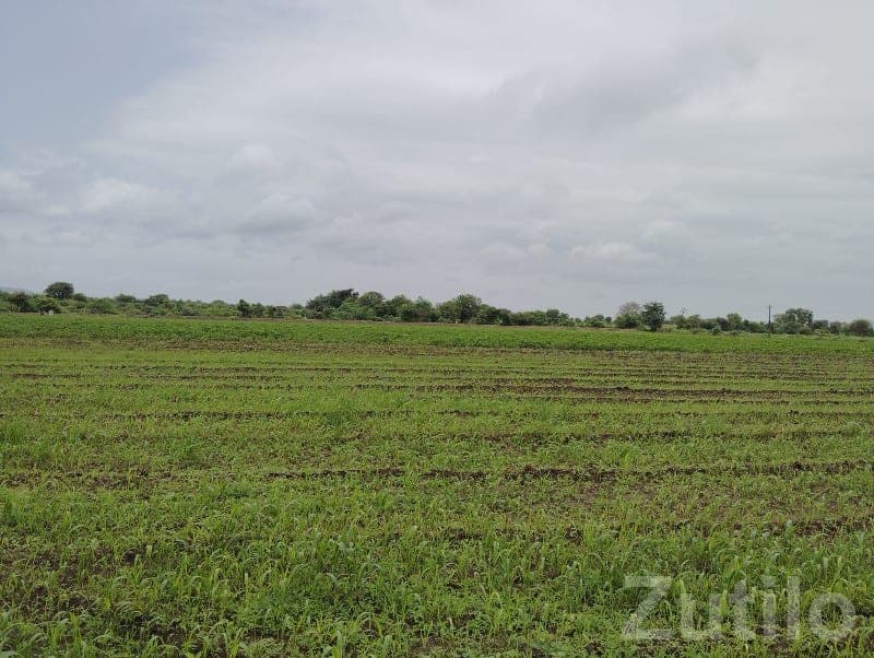 Green Fertile Agricultural Land Rajkot - Land & Plots - Rajkot City - Image 1