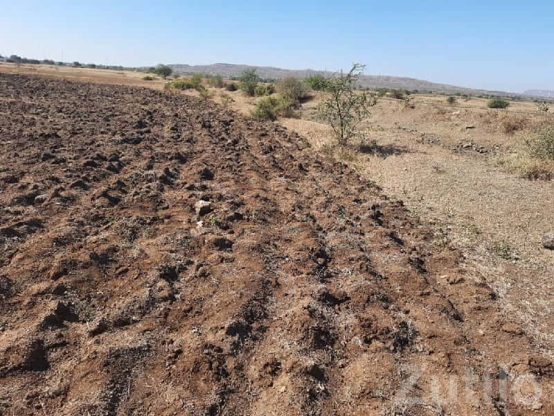 Kalyanpur Agricultural Land for Sale Kalyanpur Agricultural Land for Sale