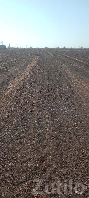 14.5 Vigha Agriculture Land Manavadar 14.5 Vigha Agriculture Land Manavadar