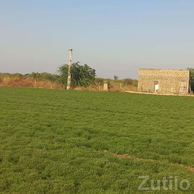 Fertile Green Farmland on Lease Fertile Green Farmland on Lease