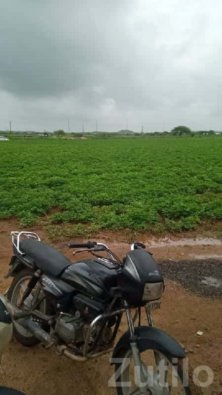 Green Fertile Agriculture Land Plot Sale Green Fertile Agriculture Land Plot Sale