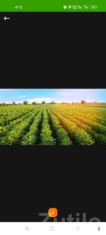 Fertile Agriculture Land in Manavadar Fertile Agriculture Land in Manavadar