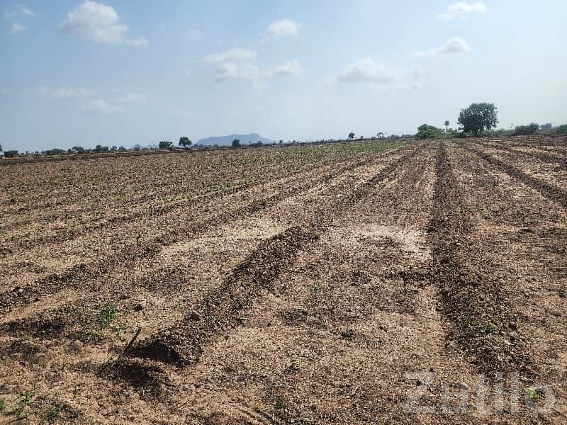 12 Vigha Irrigated Farmland Plot 12 Vigha Irrigated Farmland Plot