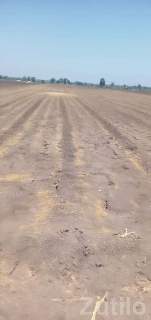 Fertile Agricultural Land in Visavadar Fertile Agricultural Land in Visavadar