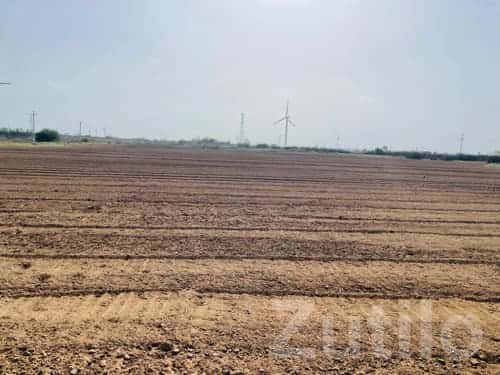 12 Vigha Irrigated Farmland for Sale 12 Vigha Irrigated Farmland for Sale
