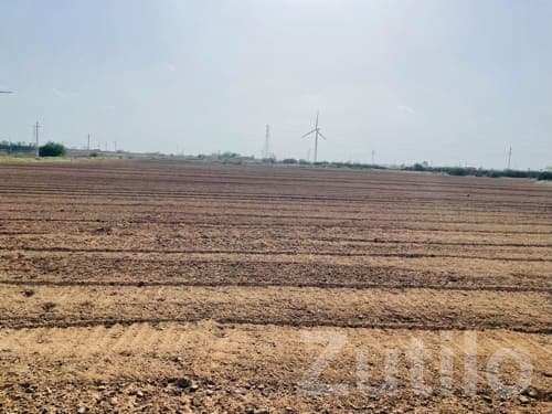 12 Vigha Irrigated Farmland for Sale - Land & Plots - Khambhalia - Image 1