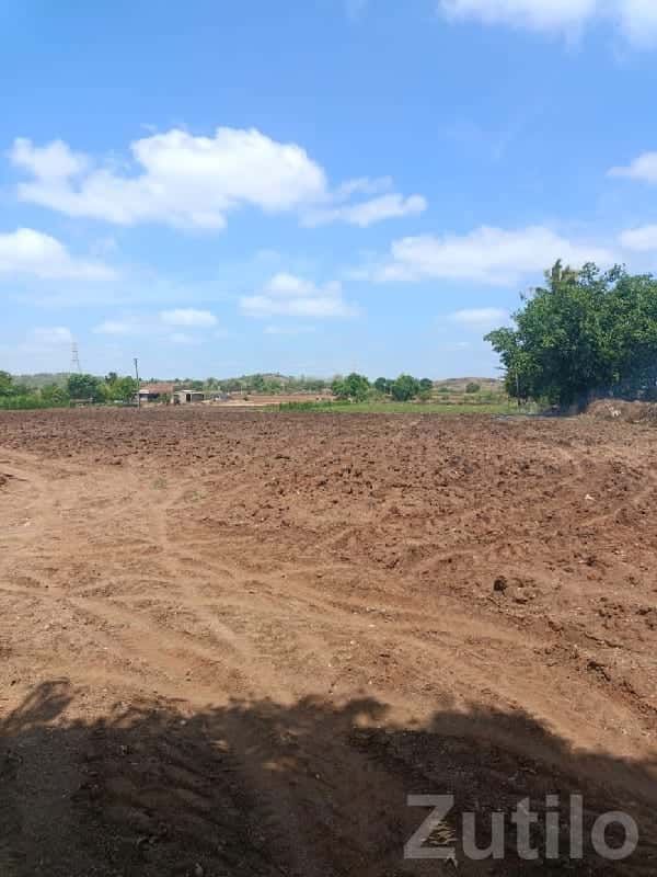 25 વિઘા ખેતી જમીન પ્લોટ વેચાણ માટે 25 વિઘા ખેતી જમીન પ્લોટ વેચાણ માટે