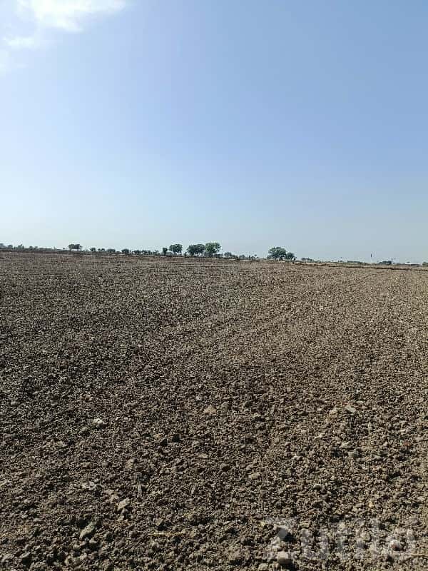 14.5 Vigha Open Agricultural Land Plot 14.5 Vigha Open Agricultural Land Plot