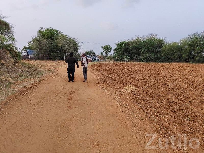 Rapar Roadside Farm Plot for Sale