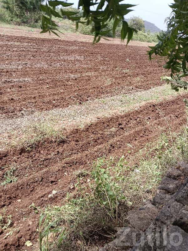 Fertile Agricultural Land in Bhanvad Fertile Agricultural Land in Bhanvad