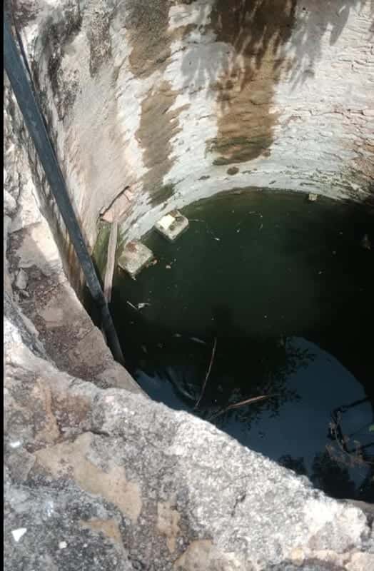 24.5 Bigha Agricultural Land with Well 24.5 Bigha Agricultural Land with Well