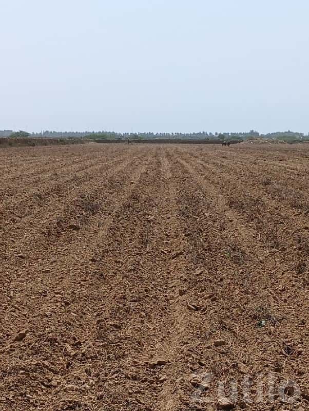 Fertile Agricultural Land Wanted Fertile Agricultural Land Wanted