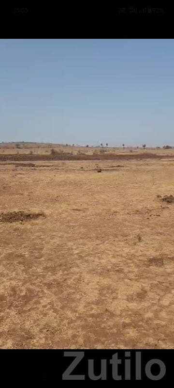 Open Agricultural Land Plot in Talala - Land & Plots - Talala - Image 1