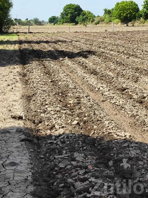 Bhánvad Agricultural Land Plot Sale Bhánvad Agricultural Land Plot Sale