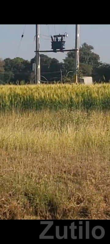 Fertile Agricultural Land in Talala Fertile Agricultural Land in Talala