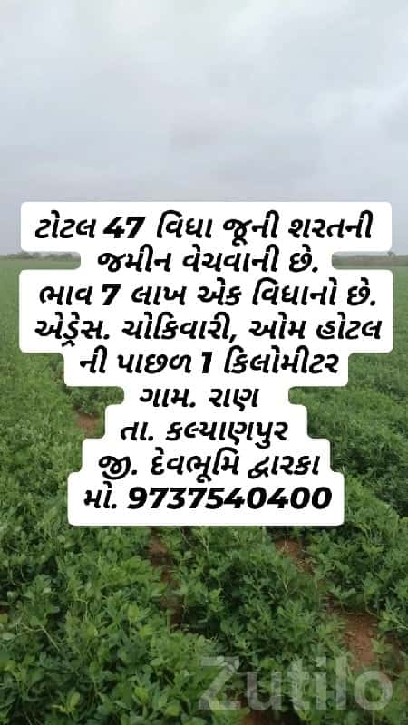 Fertile Bauxite Farmland Plot Kalyanpur Fertile Bauxite Farmland Plot Kalyanpur