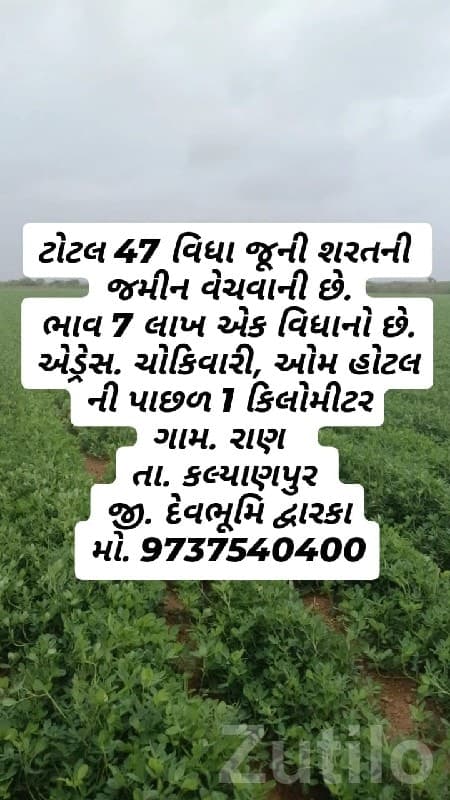 Fertile Bauxite Farmland Plot Kalyanpur - Land & Plots - Kalyanpur - Image 1