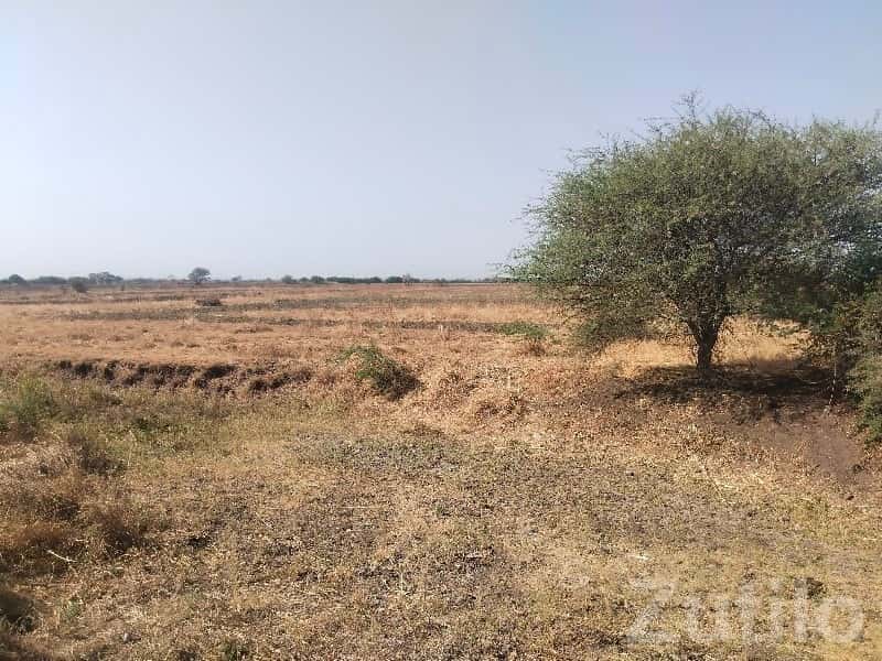 43 Vigha Agricultural Land for Sale 43 Vigha Agricultural Land for Sale