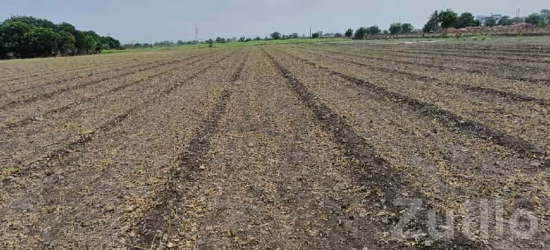 18 Bigha Fertile Agricultural Land Sale 18 Bigha Fertile Agricultural Land Sale