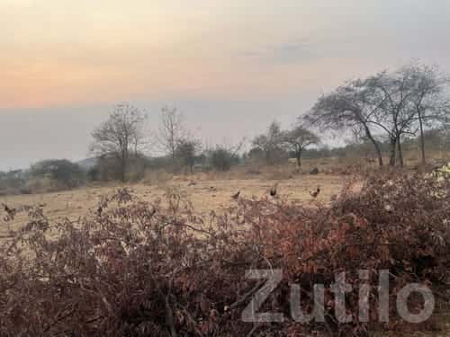 7 Bigha Agricultural Land Songadh 7 Bigha Agricultural Land Songadh