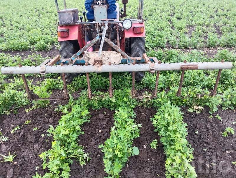 10 Vigha Fertile Agriculture Land 10 Vigha Fertile Agriculture Land