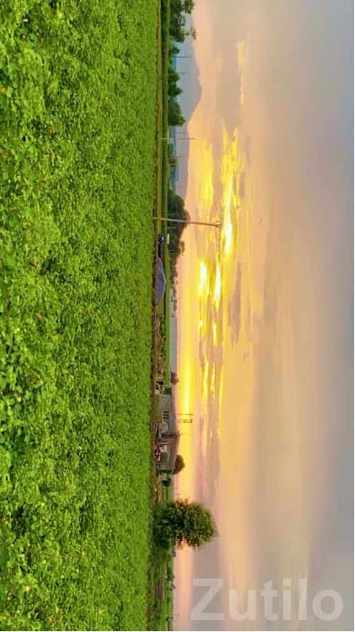 10 Vigha Green Farmland Near Amreli 10 Vigha Green Farmland Near Amreli