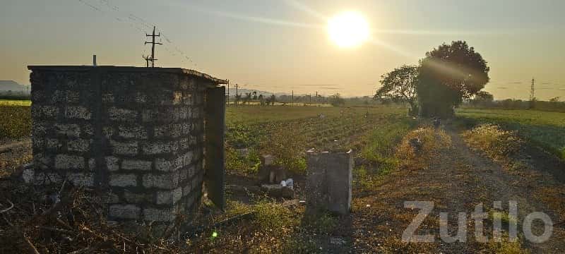 Sunlit Agricultural Land for Sale Sunlit Agricultural Land for Sale