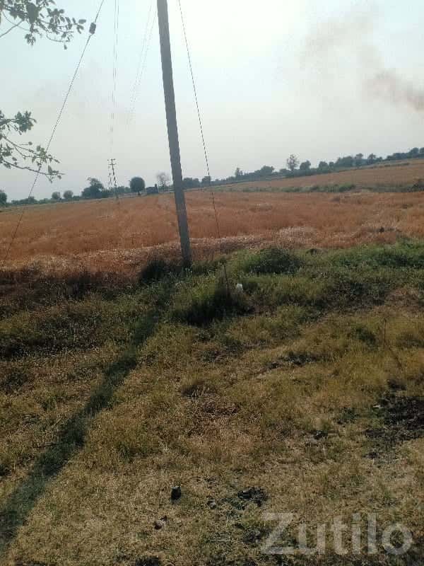 Roadside Agricultural Land in Mangrol Roadside Agricultural Land in Mangrol