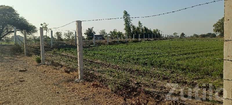 Fenced Agricultural Plot 2.5 Rod Tach Land Fenced Agricultural Plot 2.5 Rod Tach Land