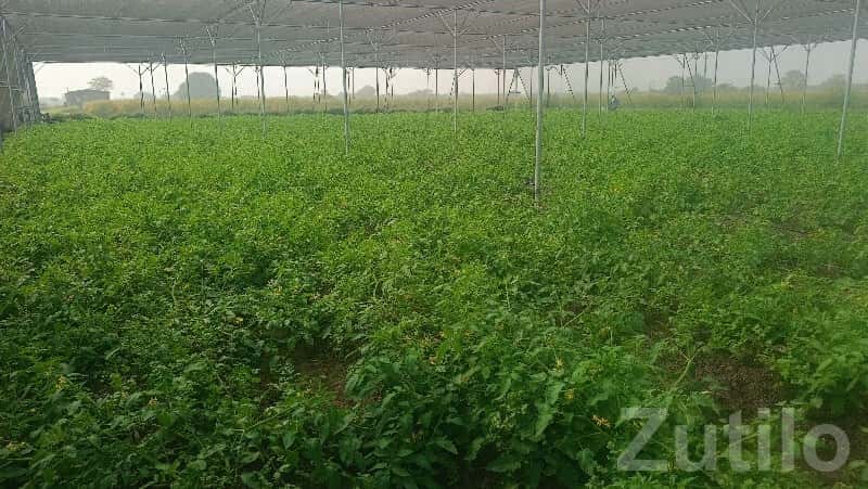 Greenhouse Farm Work Helper Needed Greenhouse Farm Work Helper Needed