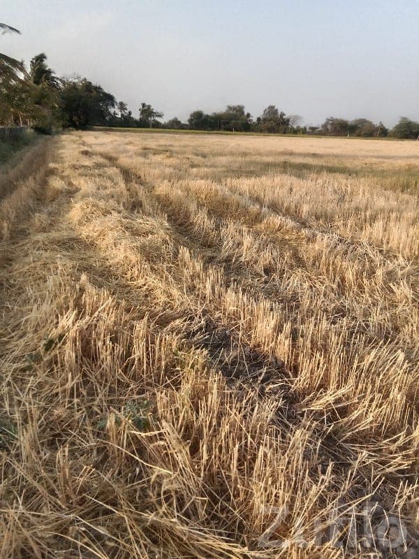 Fertile Agriculture Land Plot for Farming