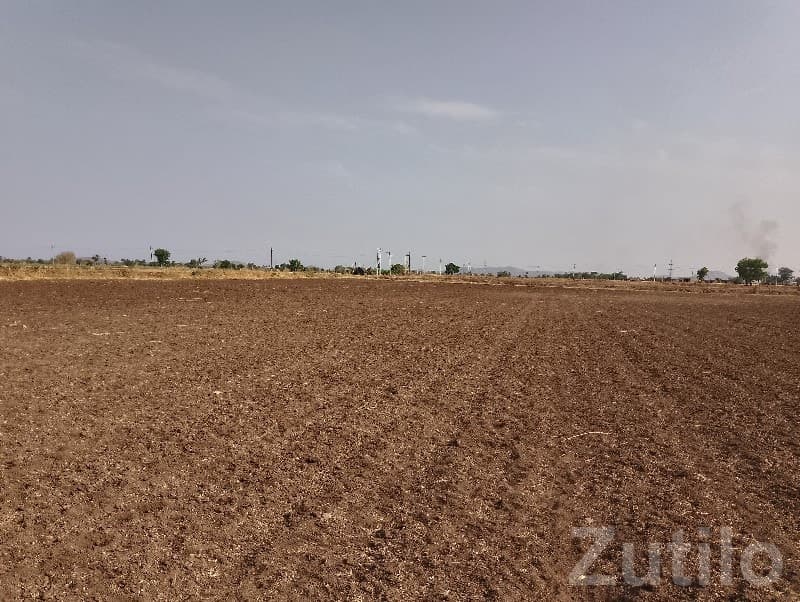 7 Vigha Fertile Open Agricultural Land