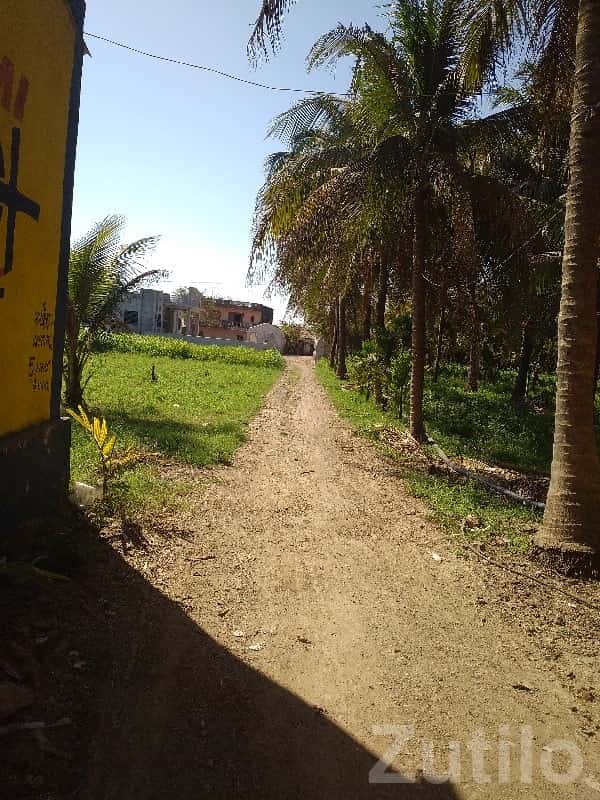 Talala Green Agricultural Plot for Sale Talala Green Agricultural Plot for Sale