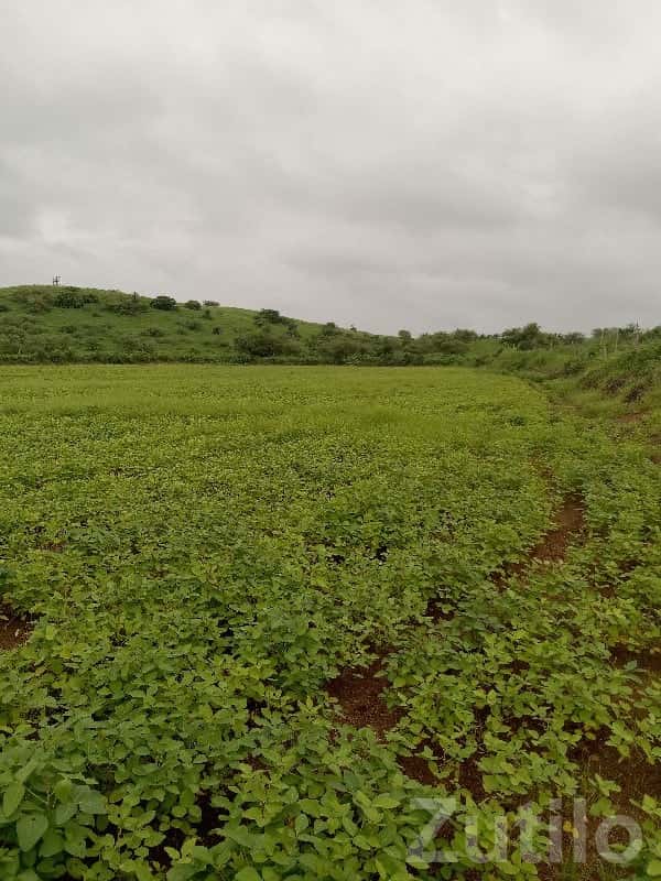9 Bigha Green Farmland Plot for Sale 9 Bigha Green Farmland Plot for Sale