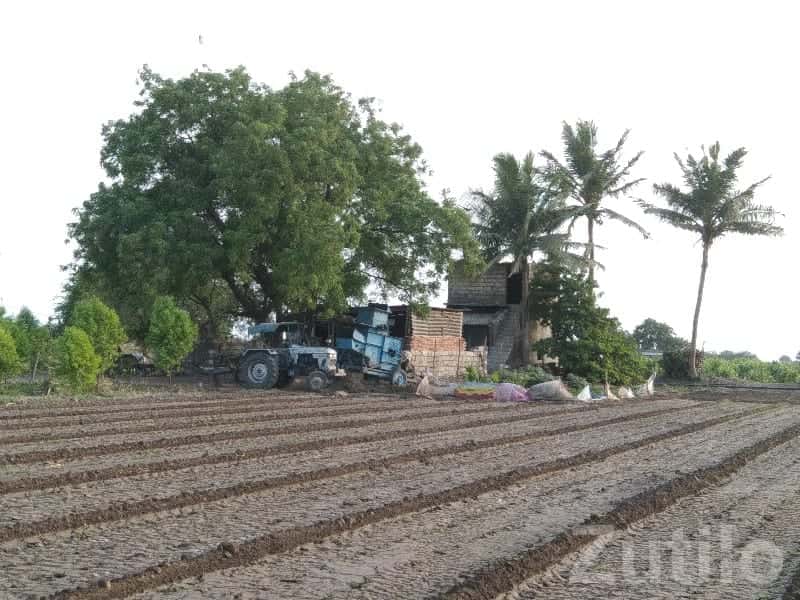 45 Bigha Irrigated Farm Land for Sale 45 Bigha Irrigated Farm Land for Sale