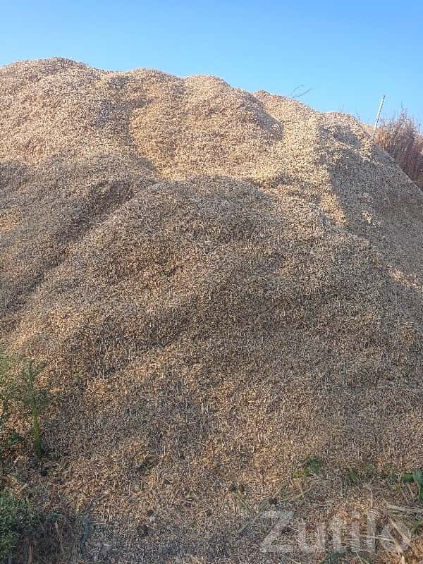 ચણા-ઘઉં નો ભૂકો મોટો ઢગલો વેચાણ ચણા-ઘઉં નો ભૂકો મોટો ઢગલો વેચાણ