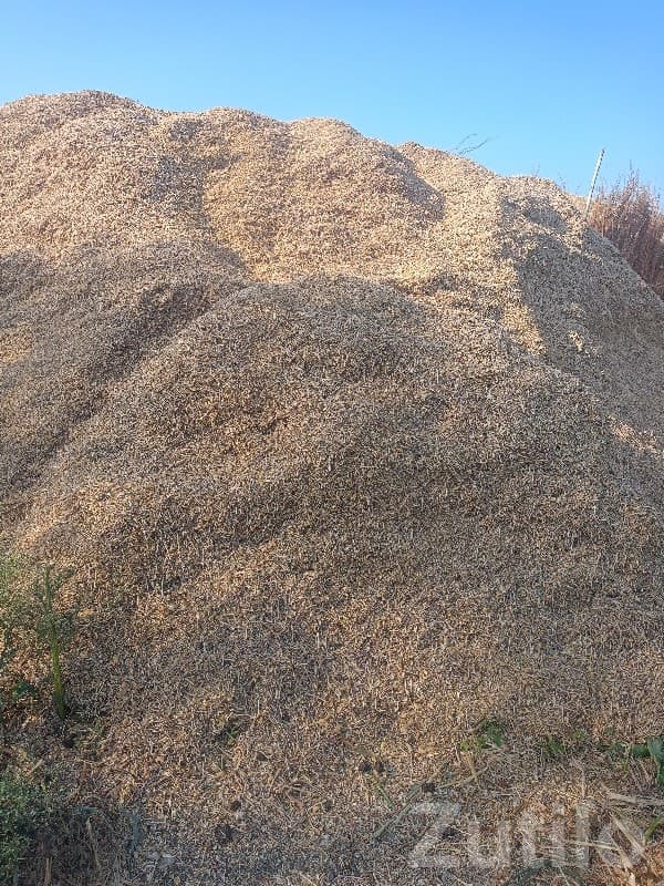 ચણા-ઘઉં નો ભૂકો મોટો ઢગલો વેચાણ