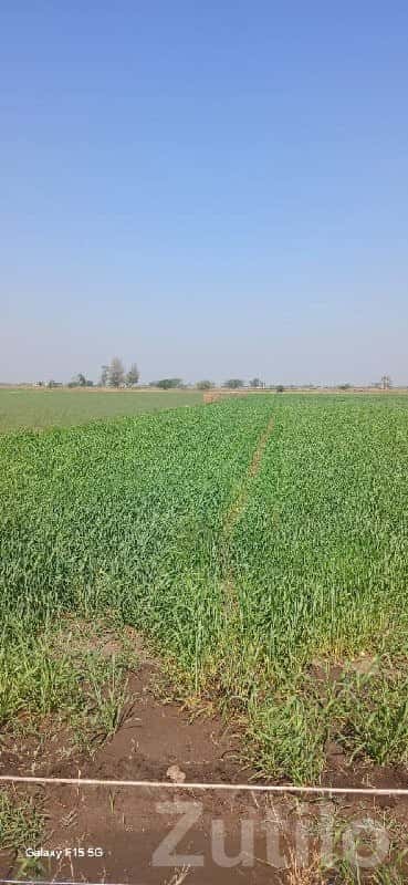 Fertile Farm Land for Sale in Kutiyana Fertile Farm Land for Sale in Kutiyana