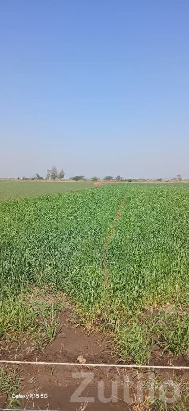 Fertile Farm Land for Sale in Kutiyana