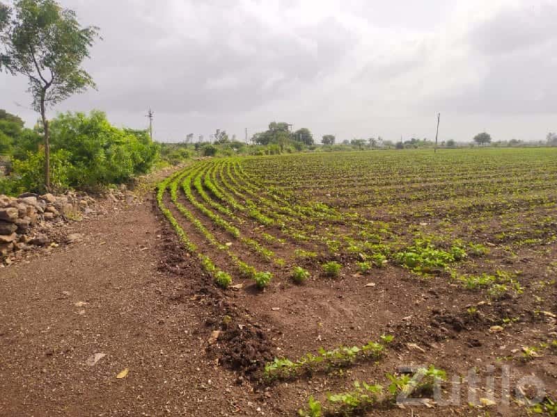 Highway Touch 8 Vigha Farmland Plot Highway Touch 8 Vigha Farmland Plot