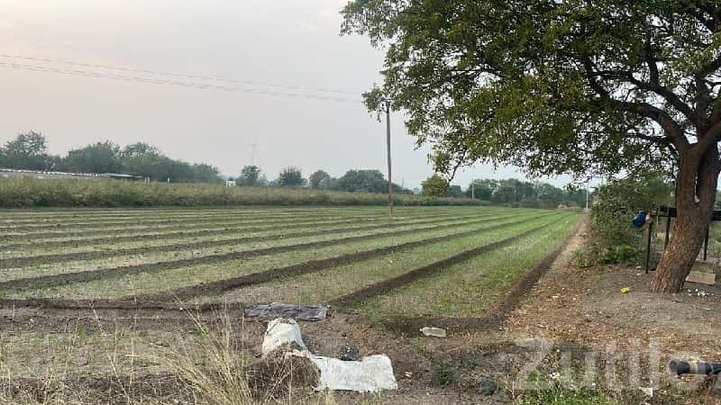 Fertile Agricultural Land in Rajkot Fertile Agricultural Land in Rajkot