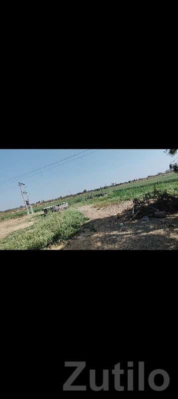 Green Agricultural Land for Sale Rajkot Green Agricultural Land for Sale Rajkot