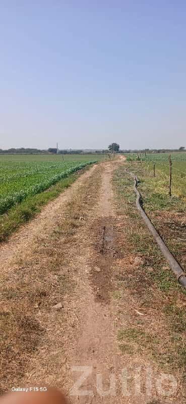 Fertile Agricultural Land in Kutiyana Fertile Agricultural Land in Kutiyana