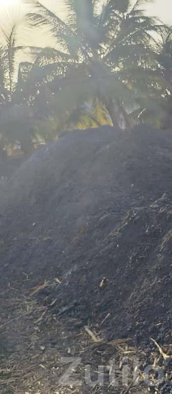 Bulk Farm Ash / Soil for Agriculture Use Bulk Farm Ash / Soil for Agriculture Use