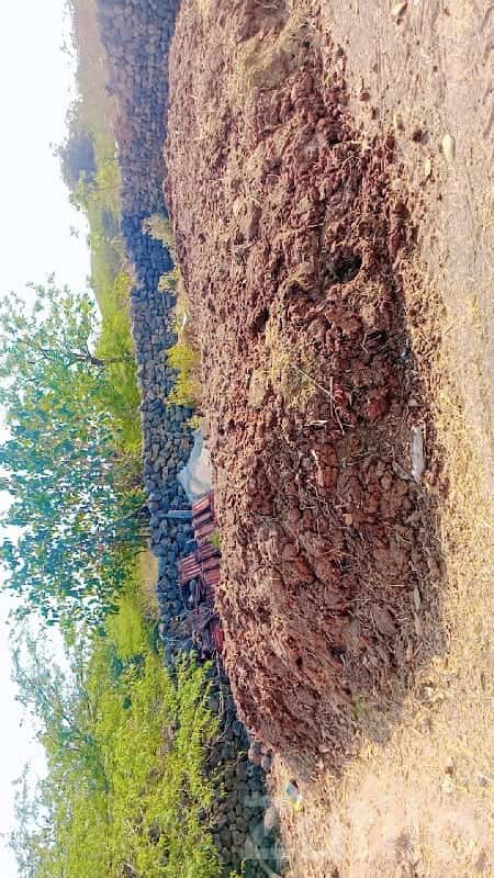 Organic Farm Manure for Sale Organic Farm Manure for Sale