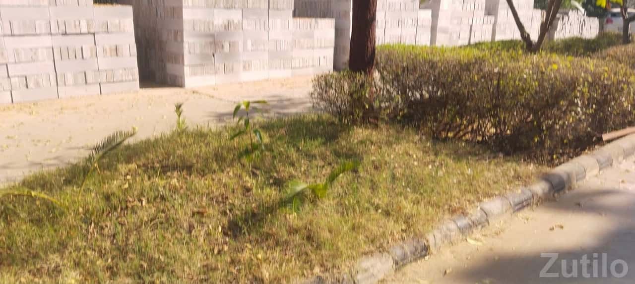 Green Residential Plot in Sanand, Ahmedabad Green Residential Plot in Sanand, Ahmedabad