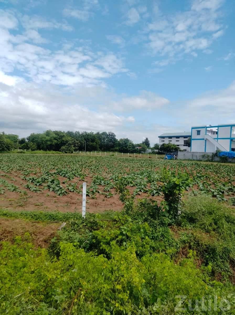 112 Guntha Fertile Juni Sharat Land Plot 112 Guntha Fertile Juni Sharat Land Plot